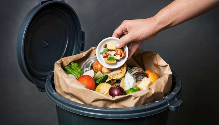 Подробнее о статье Уменьшение выбрасываемых продуктов на 60-80%